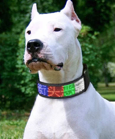 LED Light-Up Pet Dog Safety Collar Soft Personalized Glow-in-the-Dark Neck Loop with Programmable Flashing LED Animal Pattern