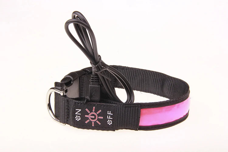 Pinkycolor USB Charging LED Dog Collar Luminous Light Night Safety Reflective Leather Glowing Collar For Dogs Pets Rechargeable