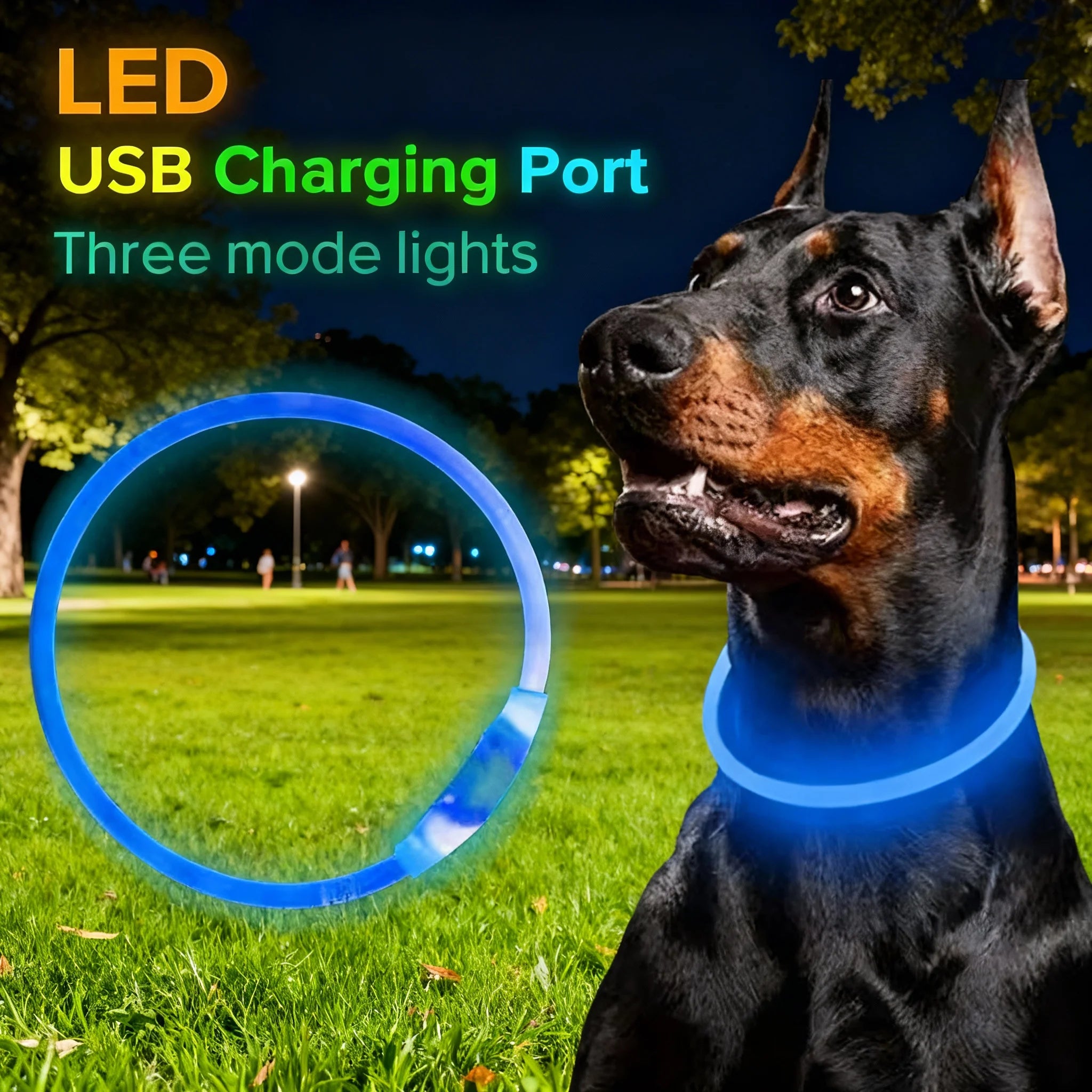 Pet Dog LED Light Collar Luminous Anti-Lost Dog Collar USB Rechargeable Dog Necklace Adjustable Collar Pet Safety Supplies