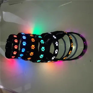 Luminous Dog Collar for Walking, Pet Supplies, Charging Dog Collar, Neck Ring, Colorful Scarf