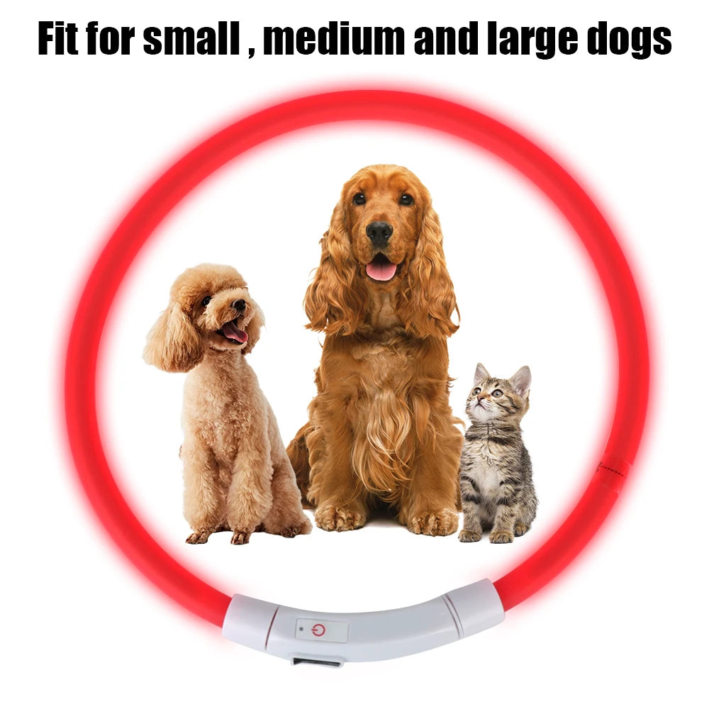 Dog Loss Prevention Led Usb Dog Collar Pet Accessories Night Safety Flashing Glow  Collar Night Luminous Charge Collar