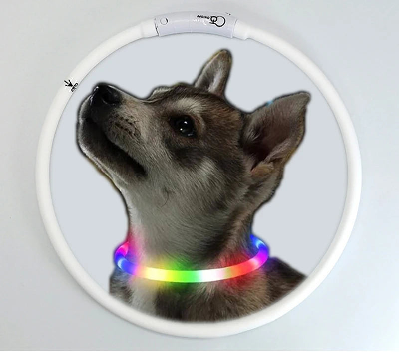 4 Modes Dog Luminou Charge Collar Led Usb Cat Silicone Colorful Collars Cuttable Night Glow Pet Loss Prevention Dogs Accessories