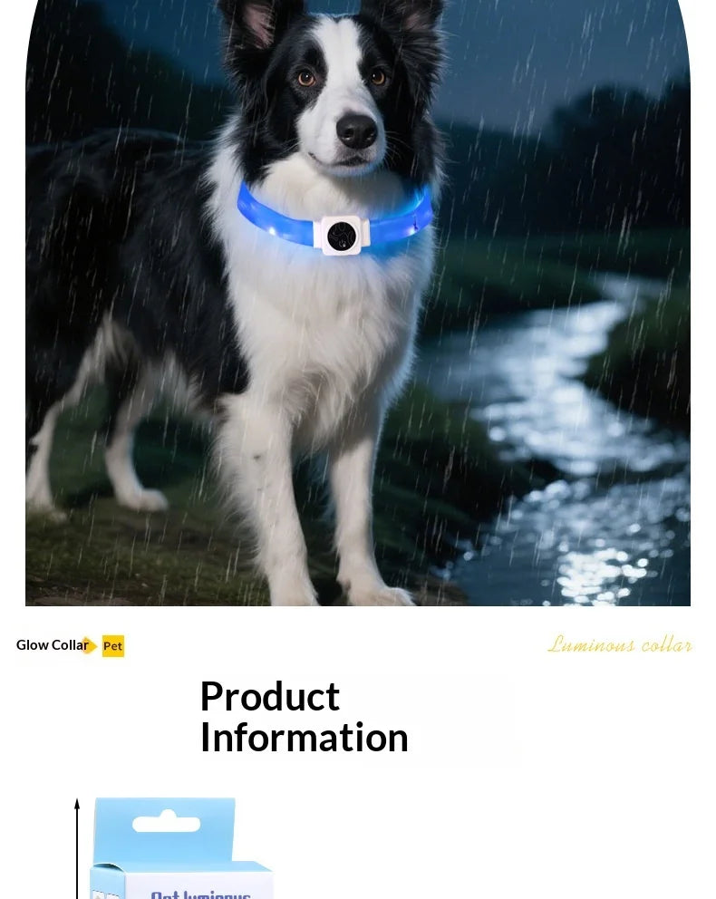 Led Pet Collar Type-C Charging Silicone Nighttime Luminous Ring Usb Dog Cat Collar Quick Flash Constant Light Slow Flash