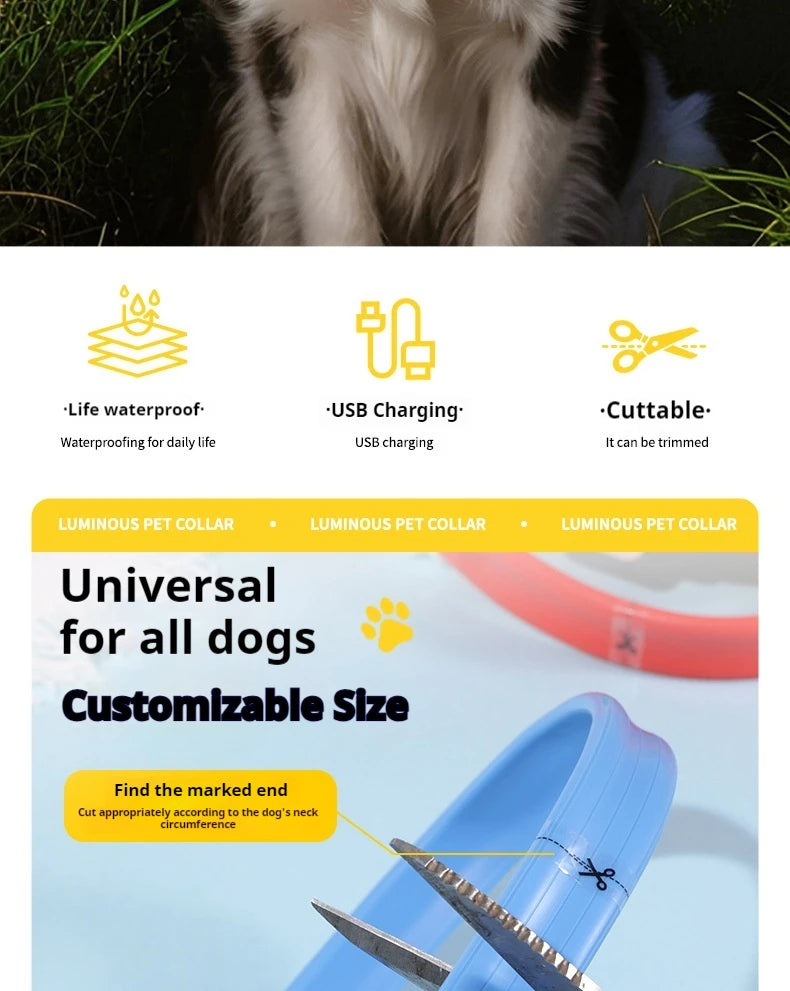 Led Pet Collar Type-C Charging Silicone Nighttime Luminous Ring Usb Dog Cat Collar Quick Flash Constant Light Slow Flash
