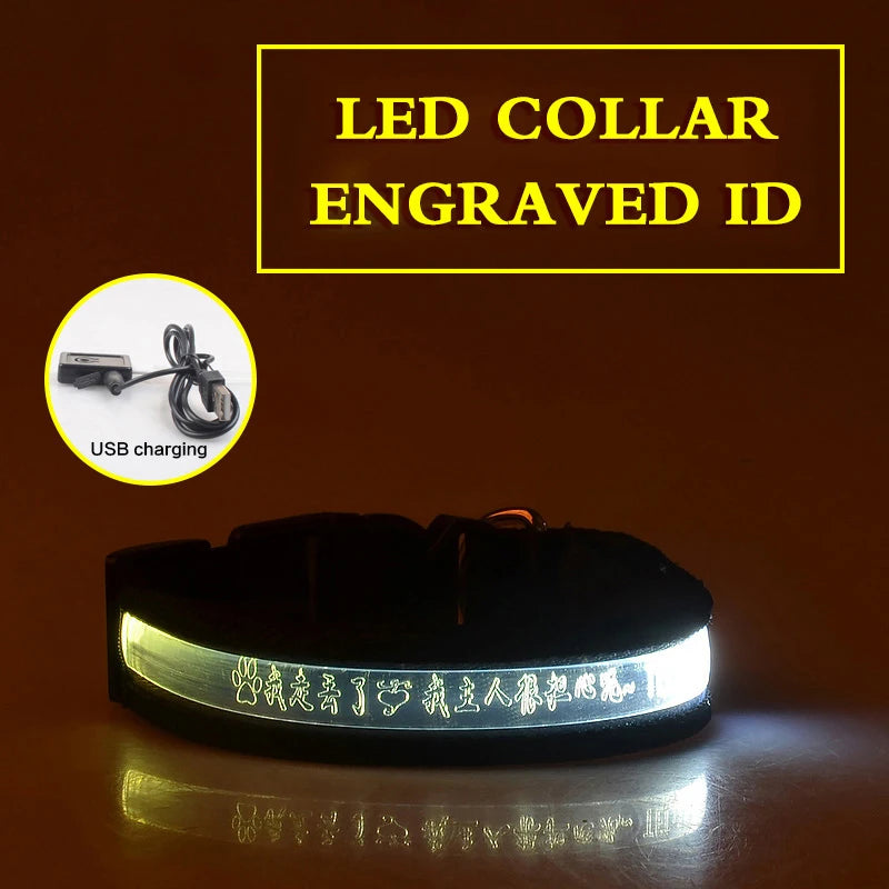 Dog Collars Personalized With Name/Phone Prevent Loss LED Night Safety Necklace Pet Collar Dog Small Puppy Cat Collar Para Perro