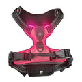 LED Glowing Luminous Dog Harness Rechargeable Safety Vest For Night Walking 3 Light Modes Pet Harnesses