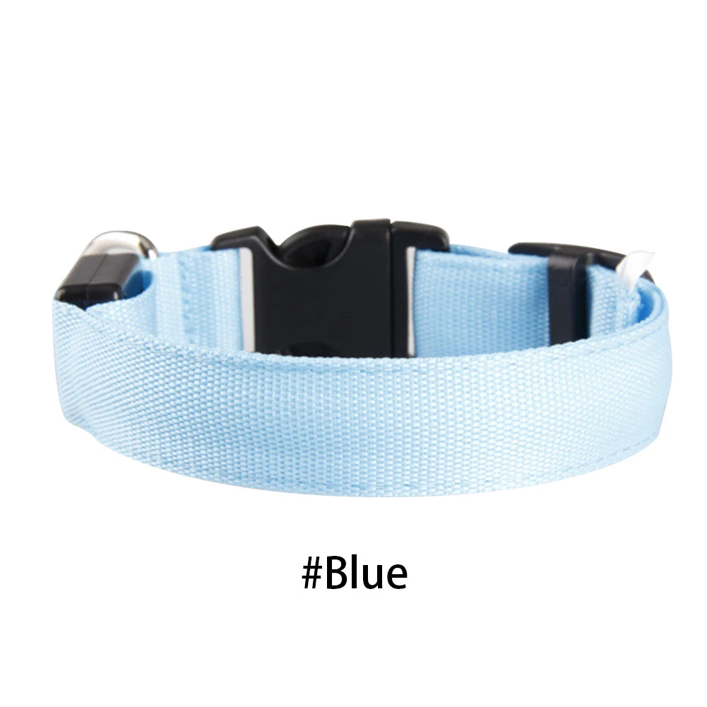 LED Dog Collar Glowing Up Anti-lost Pet Products Night Safety Collars with Batteries Pet Necklace Glow Collar for Small Dogs Cat