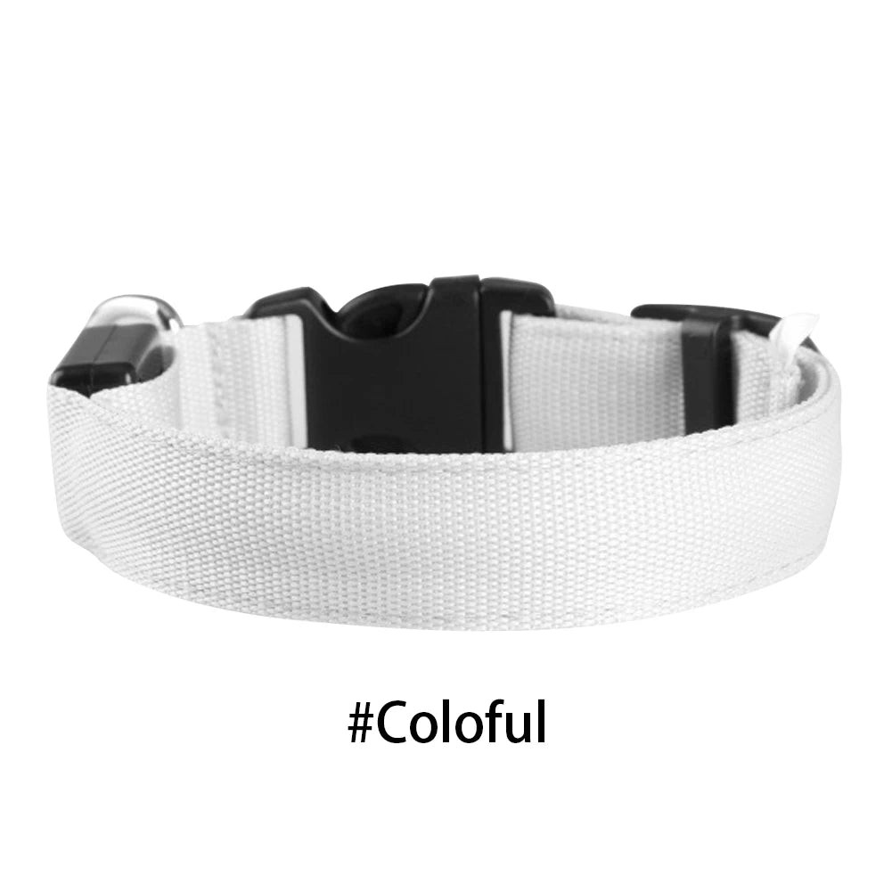 LED Dog Collar Glowing Up Anti-lost Pet Products Night Safety Collars with Batteries Pet Necklace Glow Collar for Small Dogs Cat