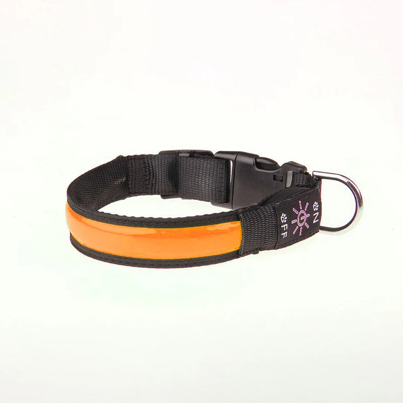Pinkycolor USB Charging LED Dog Collar Luminous Light Night Safety Reflective Leather Glowing Collar For Dogs Pets Rechargeable