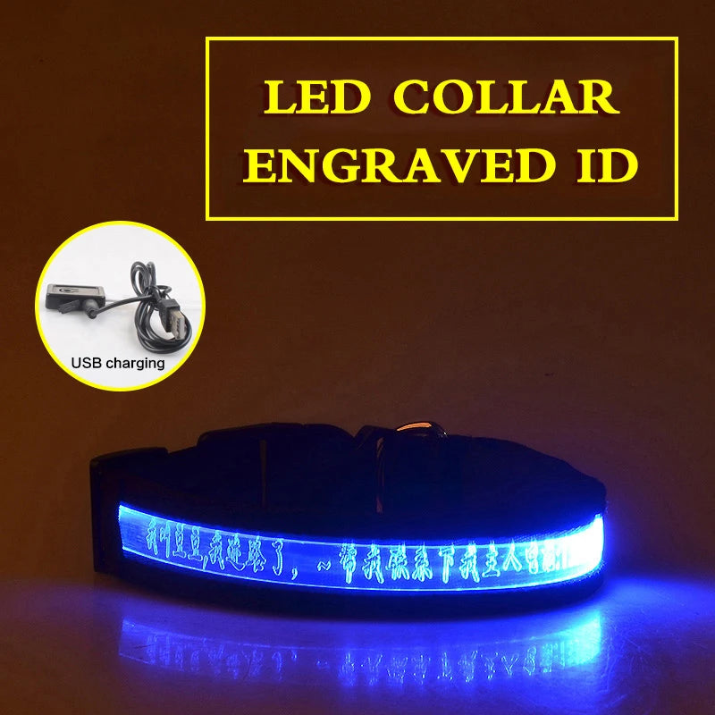 Dog Collars Personalized With Name/Phone Prevent Loss LED Night Safety Necklace Pet Collar Dog Small Puppy Cat Collar Para Perro