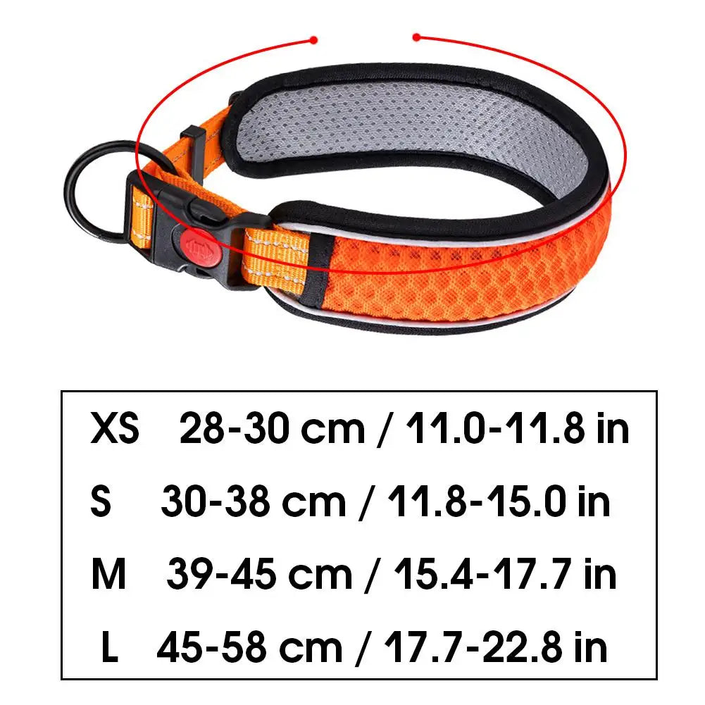 Dog Collar Nylon LED Night Safety Flashing Glow In The Dark Pet Dog Leash pet Dogs Luminous Fluorescent dog accessories collar