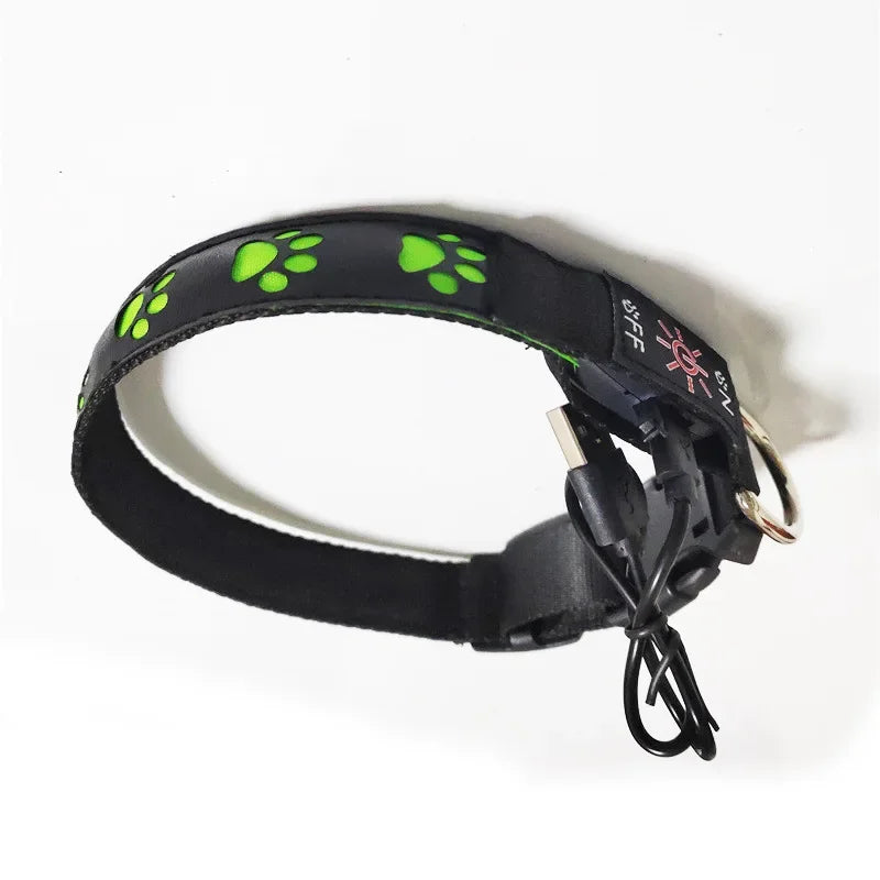 LED Dogs Luminous Collar Paw Pet Dog Walking Dog Collar Tag  Anti-car Accident Anti-lost Light Warning Safety Puppy accessories