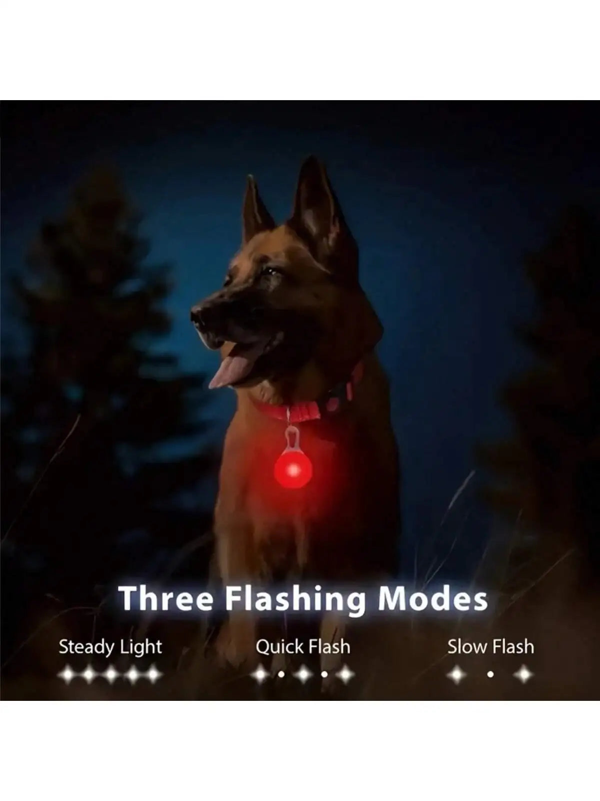 4-Color LED Dog Collar Pendant, Luminous Leash Accessory, Bright Necklace, Glow-In-The-Dark Collar For Pet Safety