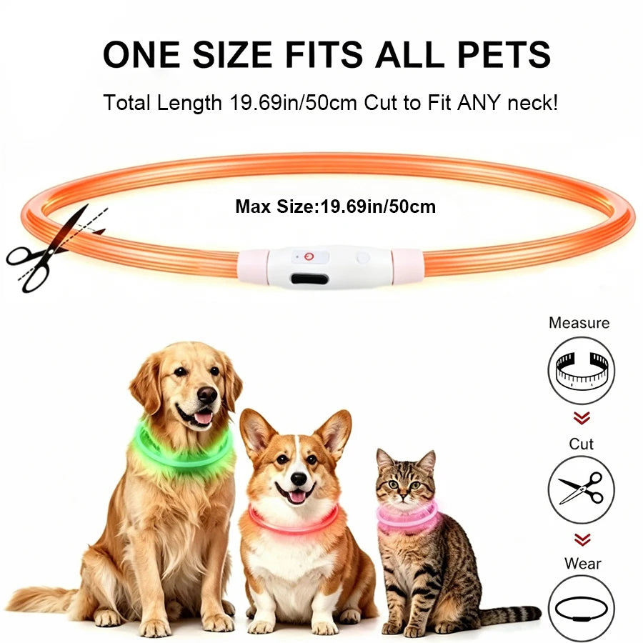 Dog Luminous Charge Collar Led Usb Cat Dogs Collars 3 Modes Detachable Night Led Glow Dog Loss Prevention Collar Pet Accessories
