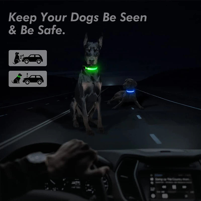 LED Luminous Collar Adjustable Glowing Dog Collar USB Rechargea  Flashing Anti-Lost/Avoid Car Accident Collar Dogs Pet Products
