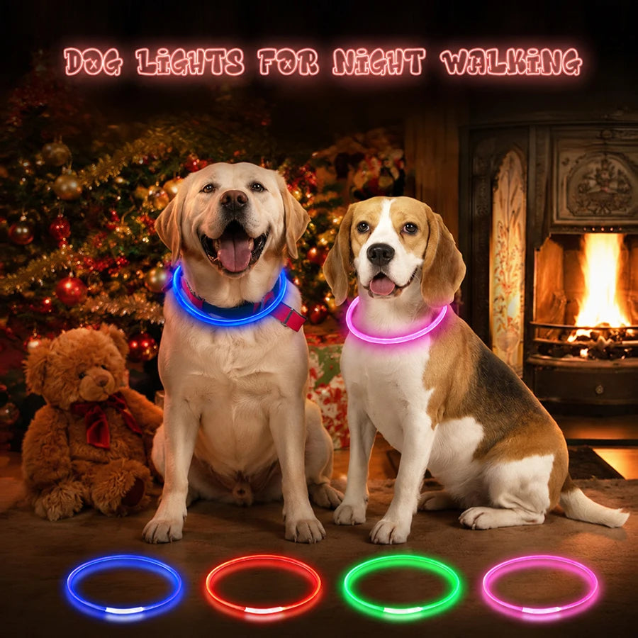 Dog Luminous Charge Collar Led Usb Cat Dogs Collars 3 Modes Detachable Night Led Glow Dog Loss Prevention Collar Pet Accessories