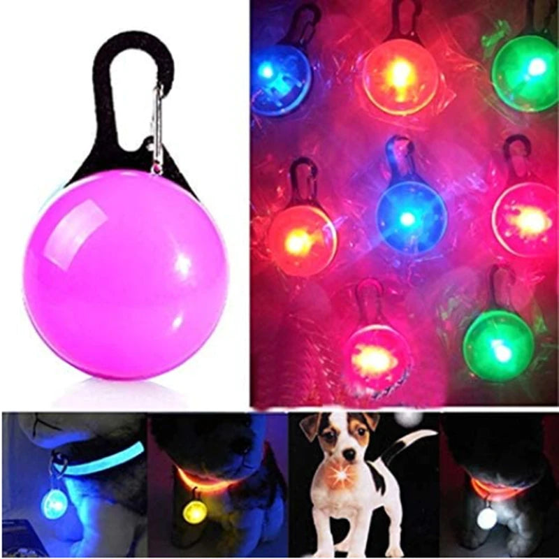 LED Luminous Collar Adjustable Glowing Dog Collar USB Rechargea  Flashing Anti-Lost/Avoid Car Accident Collar Dogs Pet Products