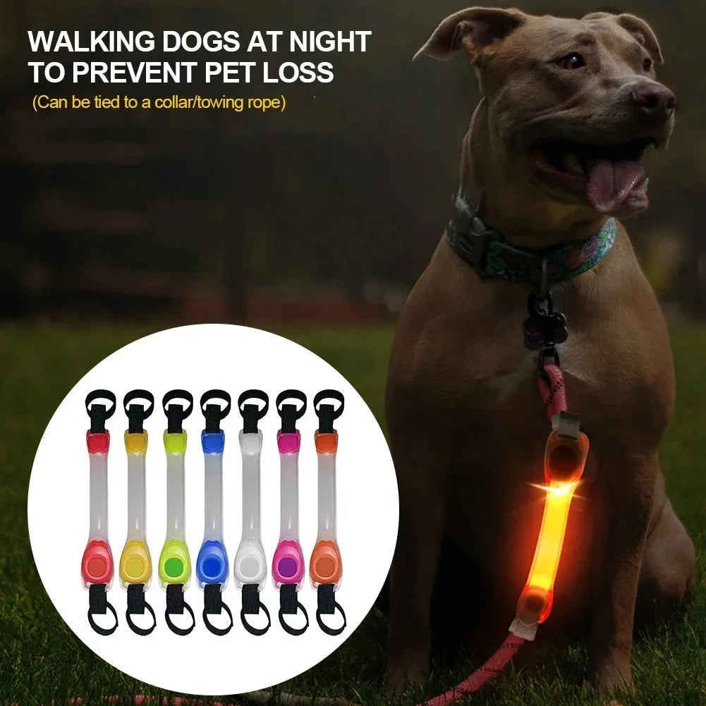Night running pet dog safety harness collar for preventing loss. Multi-color pendant. Waterproof outdoor warning LED flashing li