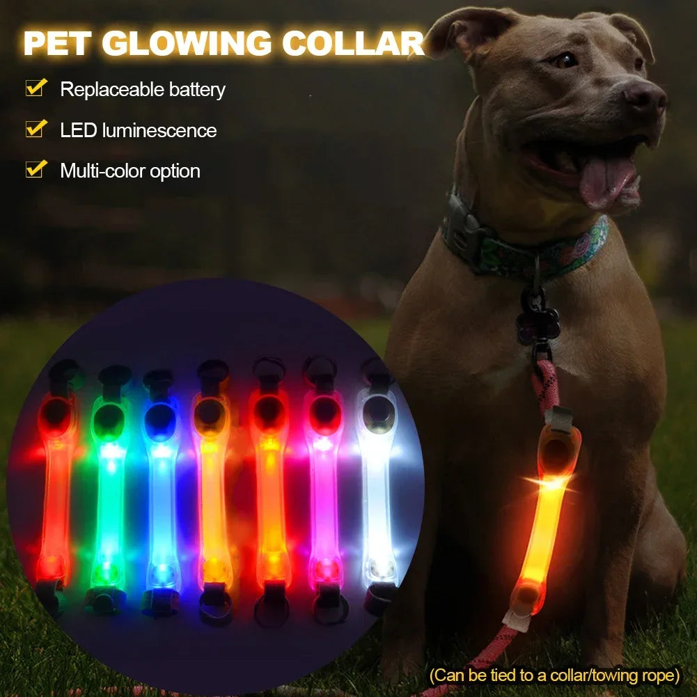 Dog Anti Lost Safety Glowing Collar Multi-Color Pendant Outdoor Waterproof Warning Led Flashing Light Strip Pet Traction Supplie