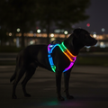 LED Dog Harness