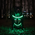 LED Harness Neon Green