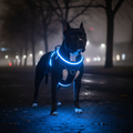 LED No-Pull Harness Blue