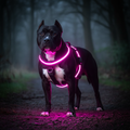 LED Step-In Harness Pink